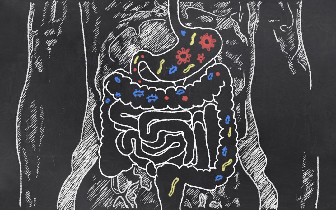 How to Prevent Leaky Gut