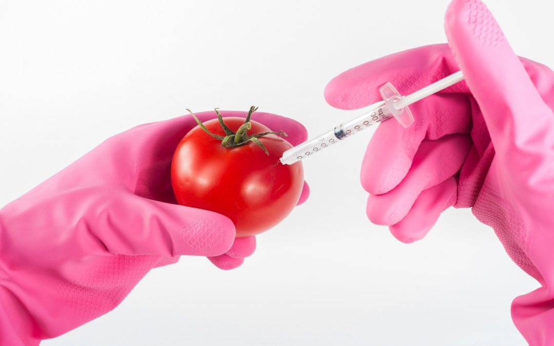 What is a GMO?