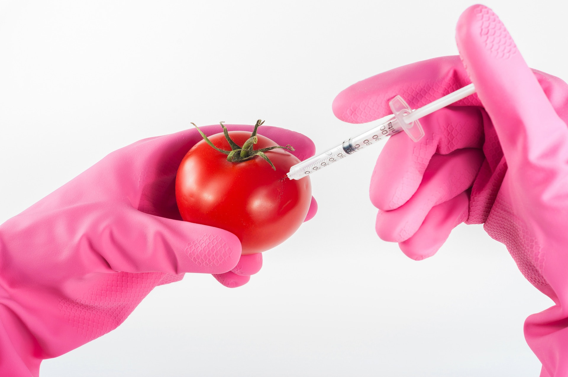 What is GMO, also known as a genetically modified organism?